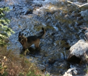 2020 10 05 Montana 021